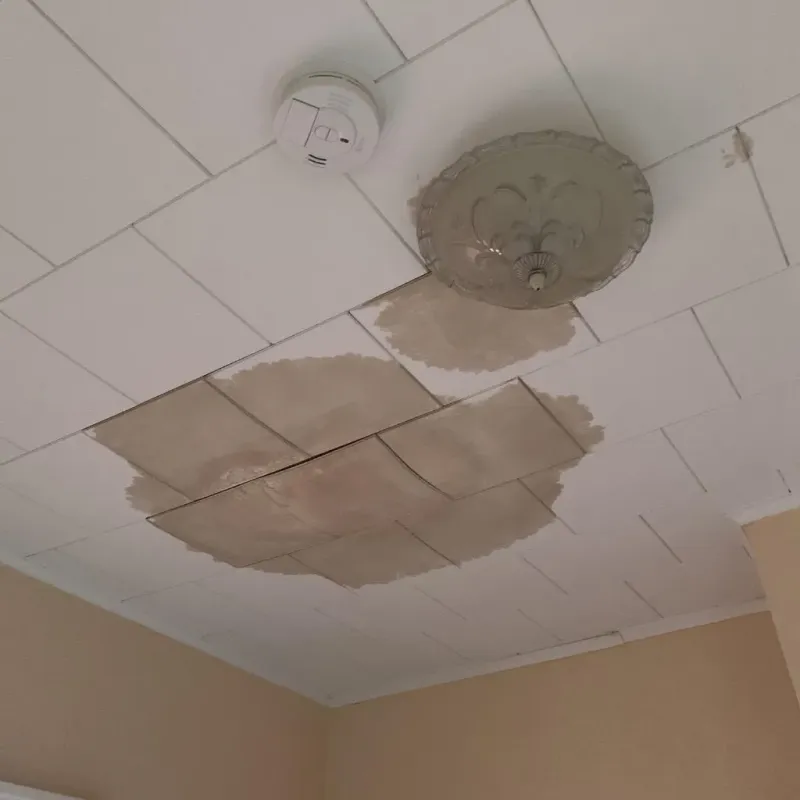 Ceiling Water Damage Repair in East Ridge, TN