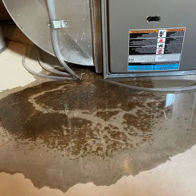 Pipe Burst and Leak Restoration in East Ridge, TN