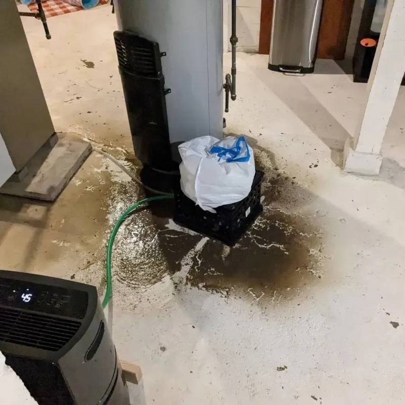 Sewage Backup Cleanup Service in East Ridge, TN